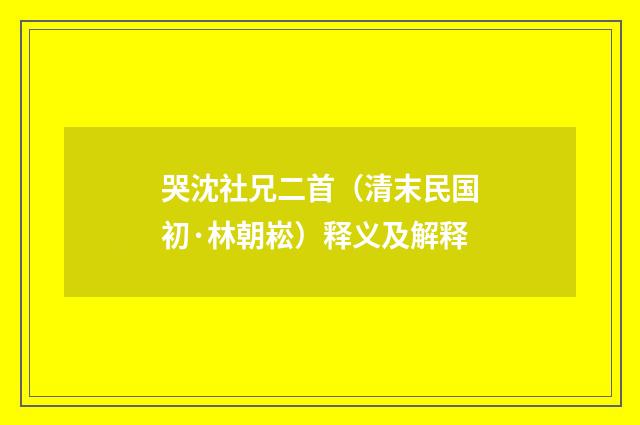 哭沈社兄二首（清末民国初·林朝崧）释义及解释
