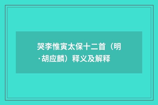 哭李惟寅太保十二首（明·胡应麟）释义及解释
