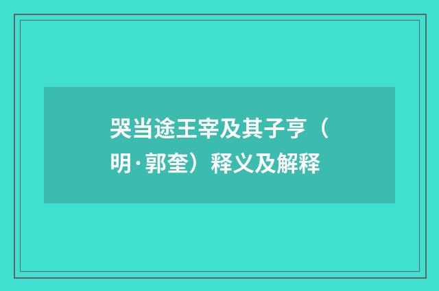 哭当途王宰及其子亨（明·郭奎）释义及解释