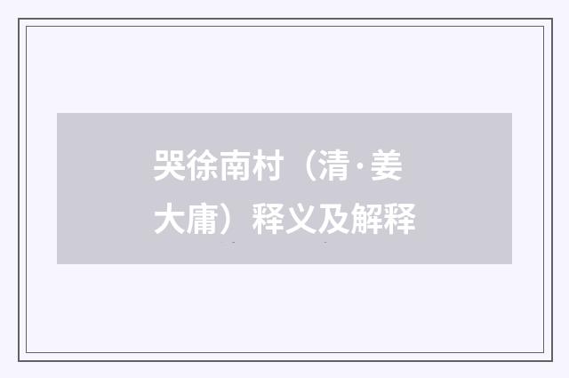 哭徐南村（清·姜大庸）释义及解释