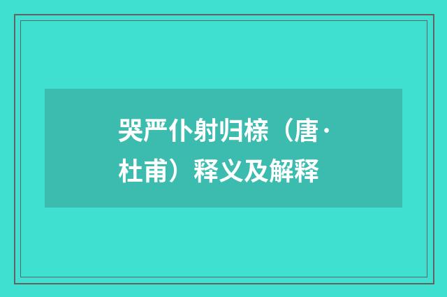 哭严仆射归榇（唐·杜甫）释义及解释