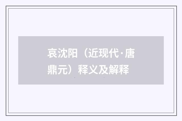 哀沈阳（近现代·唐鼎元）释义及解释