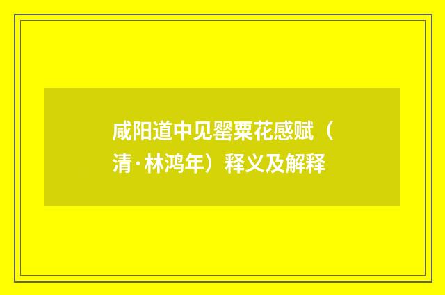 咸阳道中见罂粟花感赋（清·林鸿年）释义及解释