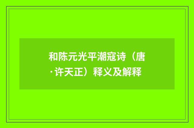 和陈元光平潮寇诗（唐·许天正）释义及解释