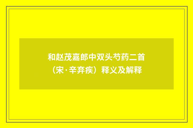 和赵茂嘉郎中双头芍药二首（宋·辛弃疾）释义及解释