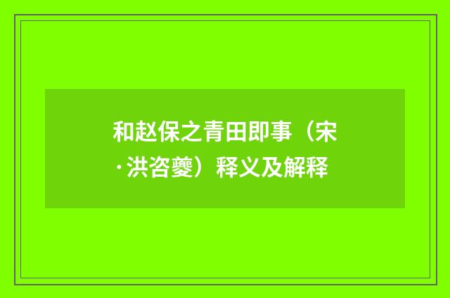 和赵保之青田即事（宋·洪咨夔）释义及解释