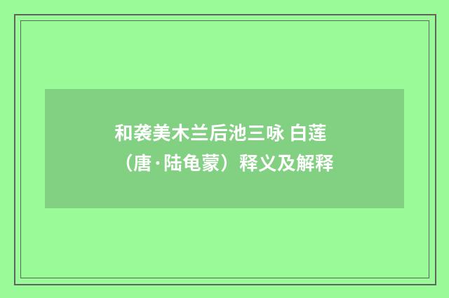 和袭美木兰后池三咏 白莲（唐·陆龟蒙）释义及解释