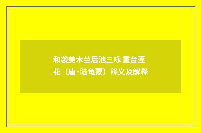 和袭美木兰后池三咏 重台莲花（唐·陆龟蒙）释义及解释
