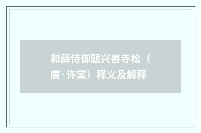 和薛侍御题兴善寺松（唐·许棠）释义及解释