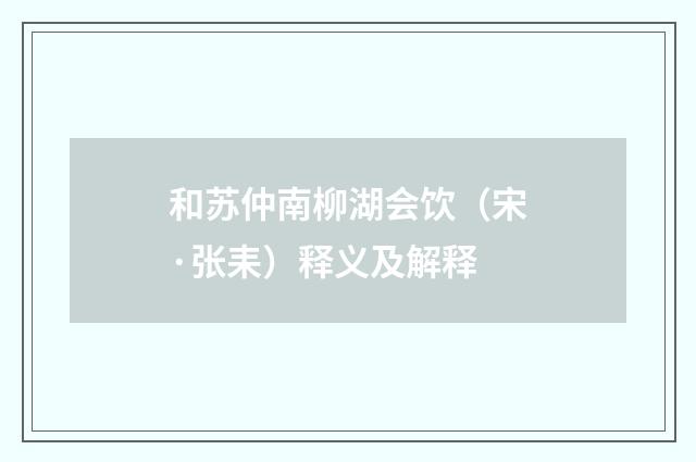 和苏仲南柳湖会饮（宋·张耒）释义及解释