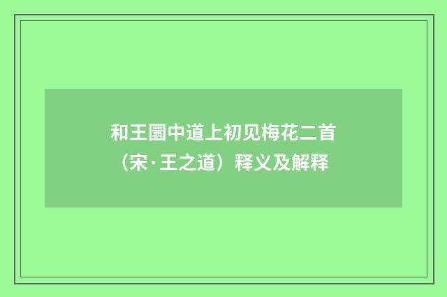 和王圜中道上初见梅花二首（宋·王之道）释义及解释