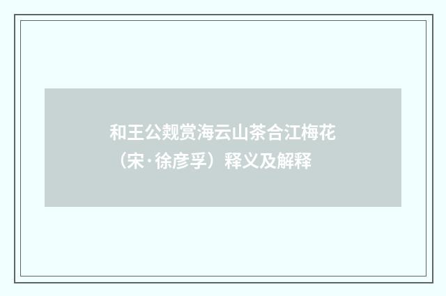和王公觌赏海云山茶合江梅花（宋·徐彦孚）释义及解释