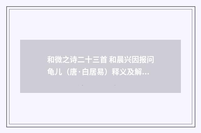 和微之诗二十三首 和晨兴因报问龟儿（唐·白居易）释义及解释