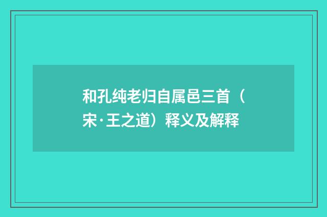 和孔纯老归自属邑三首（宋·王之道）释义及解释