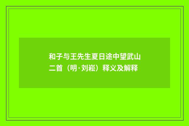 和子与王先生夏日途中望武山二首（明·刘崧）释义及解释