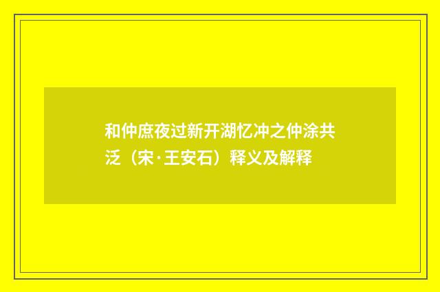 和仲庶夜过新开湖忆冲之仲涂共泛（宋·王安石）释义及解释