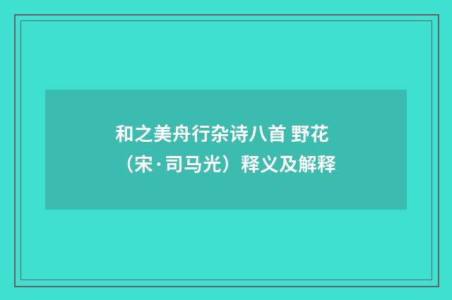 和之美舟行杂诗八首 野花（宋·司马光）释义及解释