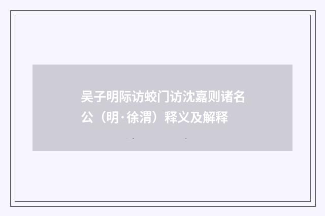 吴子明际访蛟门访沈嘉则诸名公（明·徐渭）释义及解释