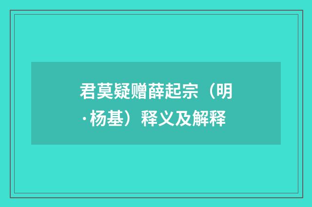 君莫疑赠薛起宗（明·杨基）释义及解释
