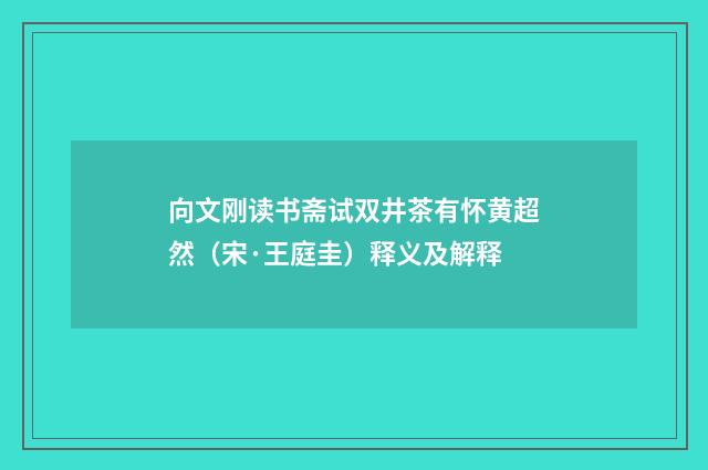 向文刚读书斋试双井茶有怀黄超然（宋·王庭圭）释义及解释