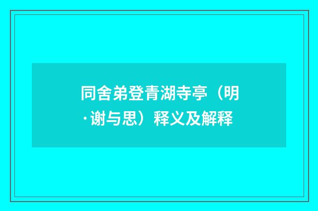 同舍弟登青湖寺亭（明·谢与思）释义及解释