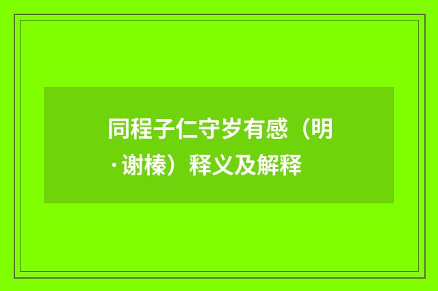 同程子仁守岁有感（明·谢榛）释义及解释