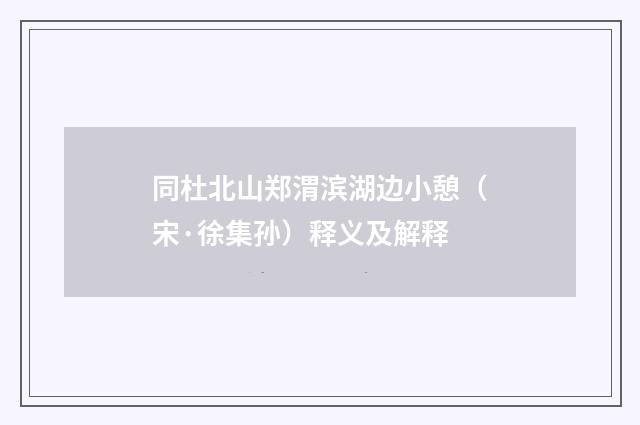 同杜北山郑渭滨湖边小憩（宋·徐集孙）释义及解释