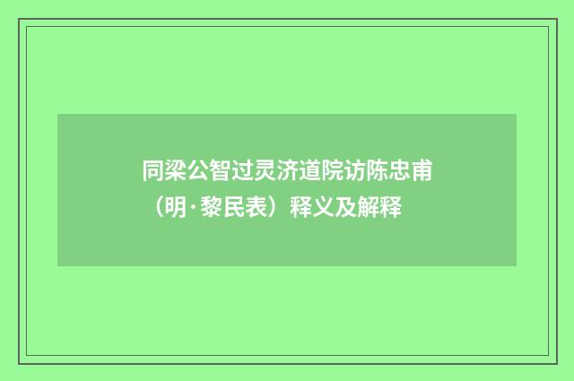 同梁公智过灵济道院访陈忠甫（明·黎民表）释义及解释