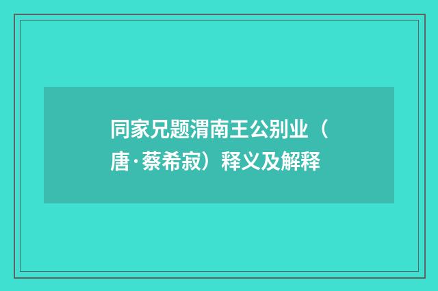 同家兄题渭南王公别业（唐·蔡希寂）释义及解释