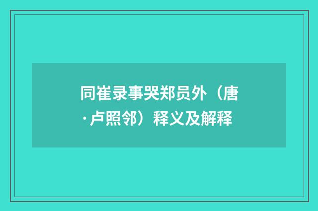 同崔录事哭郑员外（唐·卢照邻）释义及解释