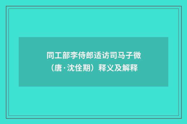 同工部李侍郎适访司马子微（唐·沈佺期）释义及解释
