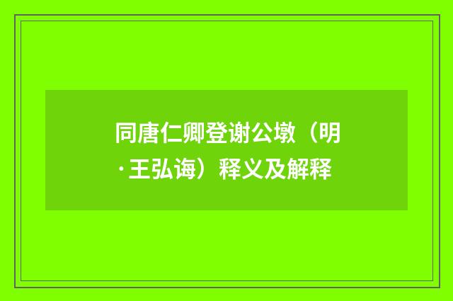 同唐仁卿登谢公墩（明·王弘诲）释义及解释