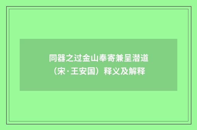同器之过金山奉寄兼呈潜道（宋·王安国）释义及解释