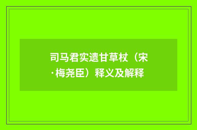 司马君实遗甘草杖（宋·梅尧臣）释义及解释