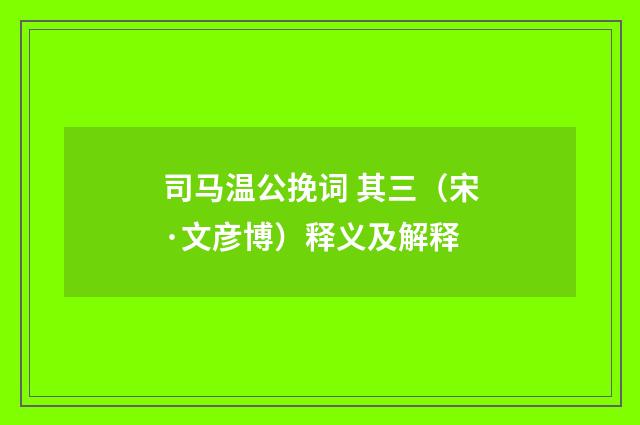 司马温公挽词 其三（宋·文彦博）释义及解释