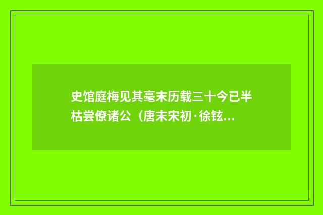 史馆庭梅见其毫末历载三十今已半枯尝僚诸公（唐末宋初·徐铉）释义及解释