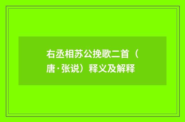 右丞相苏公挽歌二首（唐·张说）释义及解释