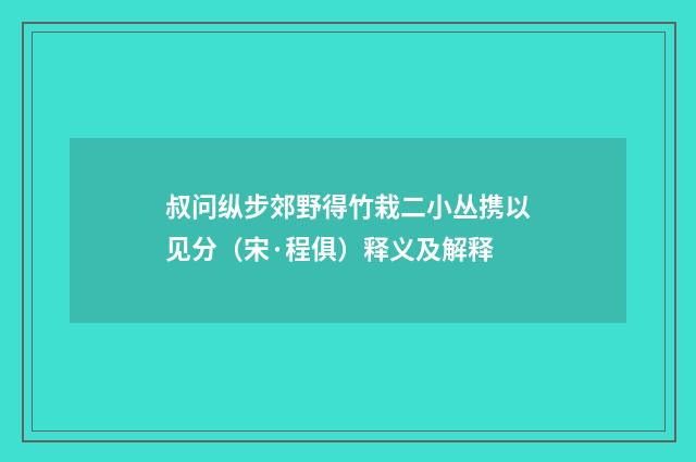 叔问纵步郊野得竹栽二小丛携以见分（宋·程俱）释义及解释