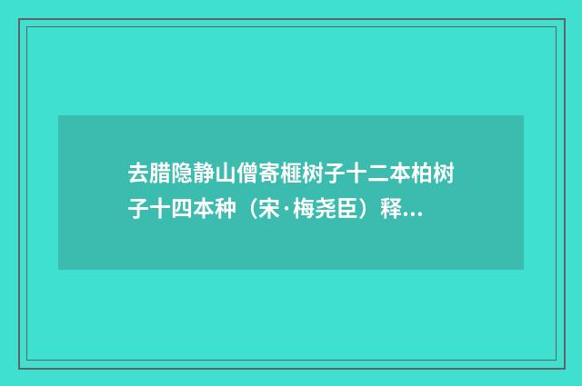 去腊隐静山僧寄榧树子十二本柏树子十四本种（宋·梅尧臣）释义及解释