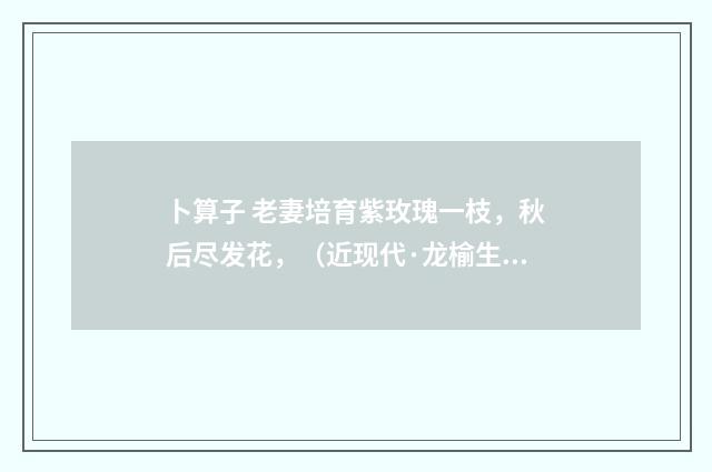 卜算子 老妻培育紫玫瑰一枝，秋后尽发花，（近现代·龙榆生）释义及解释