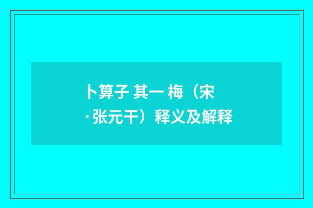 卜算子 其一 梅（宋·张元干）释义及解释