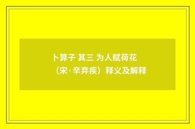 卜算子 其三 为人赋荷花（宋·辛弃疾）释义及解释
