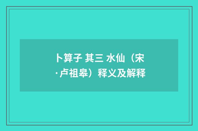 卜算子 其三 水仙（宋·卢祖皋）释义及解释