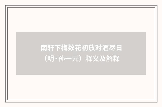 南轩下梅数花初放对酒尽日（明·孙一元）释义及解释
