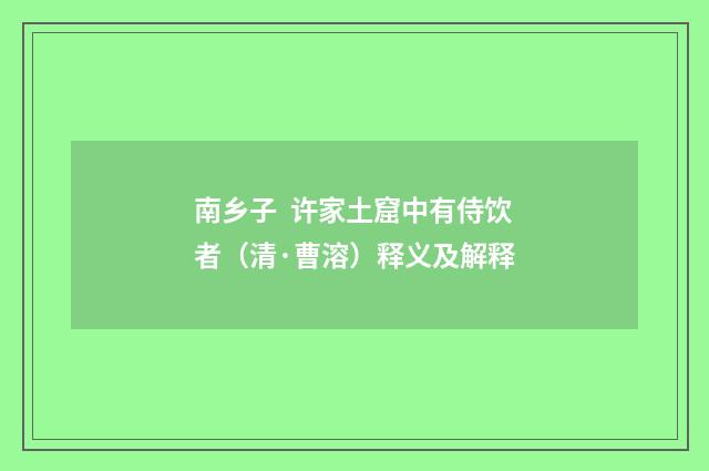 南乡子 许家土窟中有侍饮者（清·曹溶）释义及解释