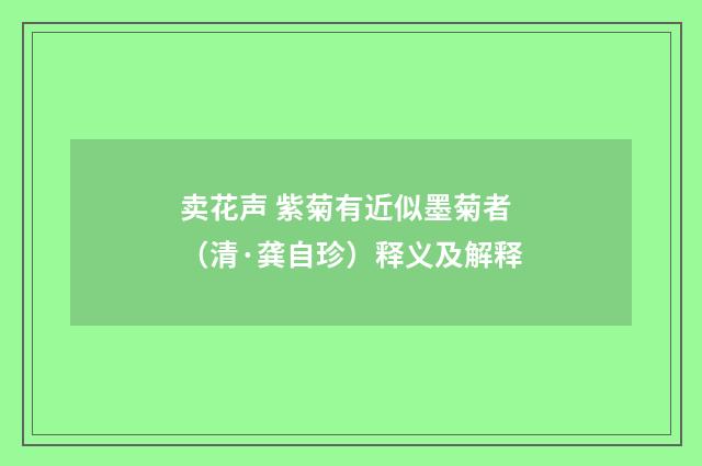 卖花声 紫菊有近似墨菊者（清·龚自珍）释义及解释