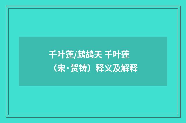 千叶莲/鹧鸪天 千叶莲（宋·贺铸）释义及解释