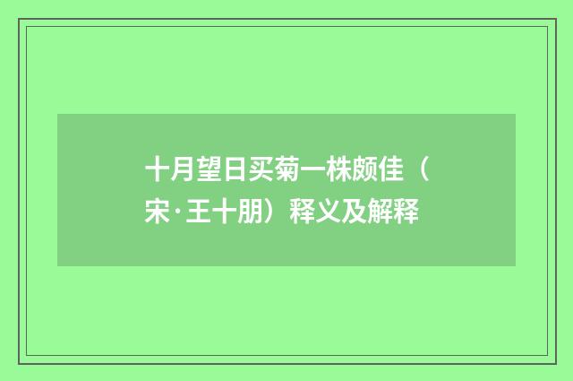 十月望日买菊一株颇佳（宋·王十朋）释义及解释