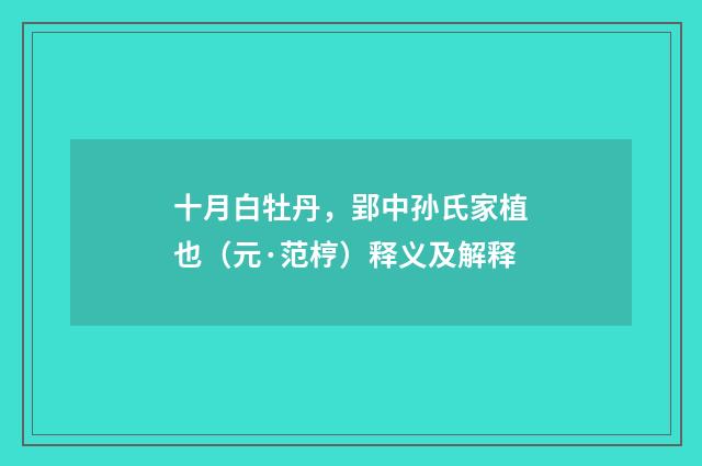 十月白牡丹，郢中孙氏家植也（元·范梈）释义及解释