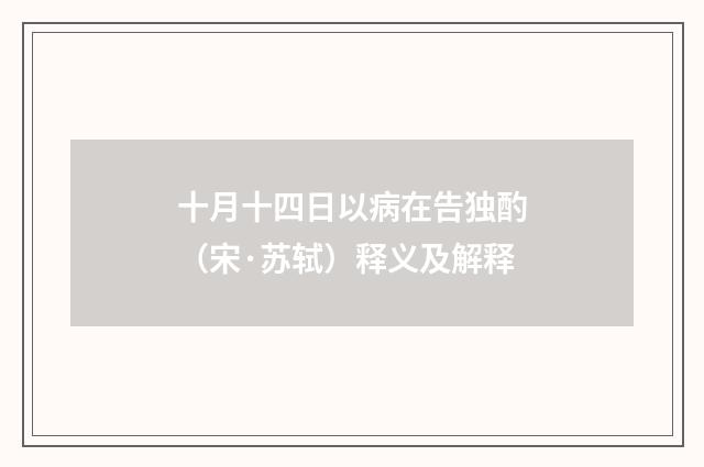 十月十四日以病在告独酌（宋·苏轼）释义及解释